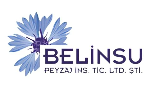 belinsu - logo