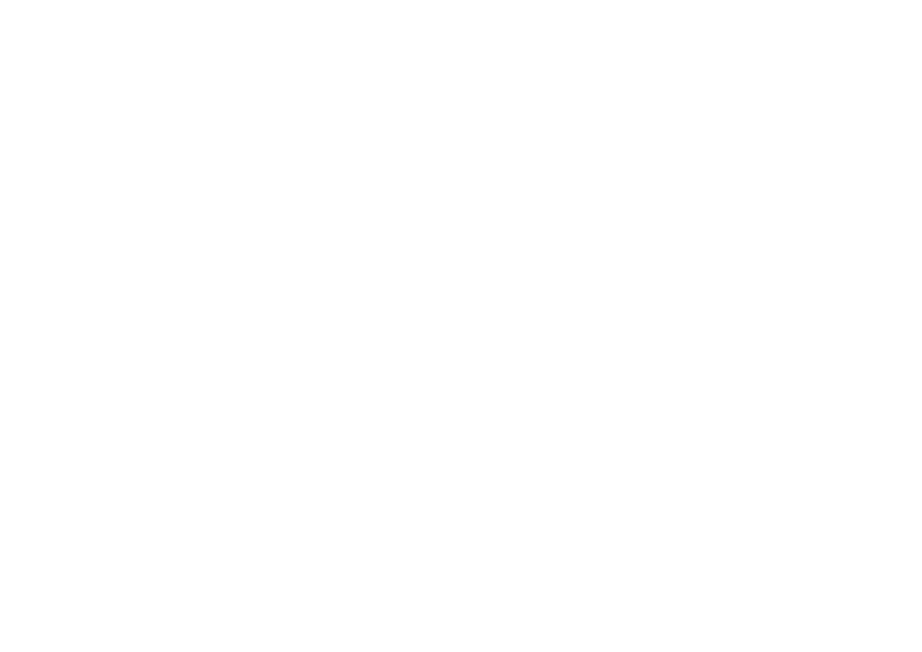 vegasis logo