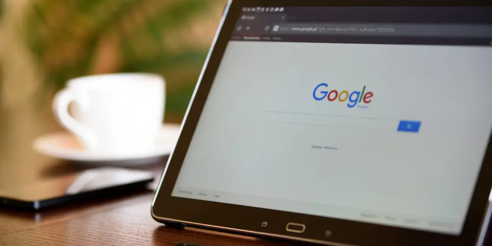 Google Merchant Center Yanlış Beyan Sorunu ve Çözümü - Vegasis Medya 2026