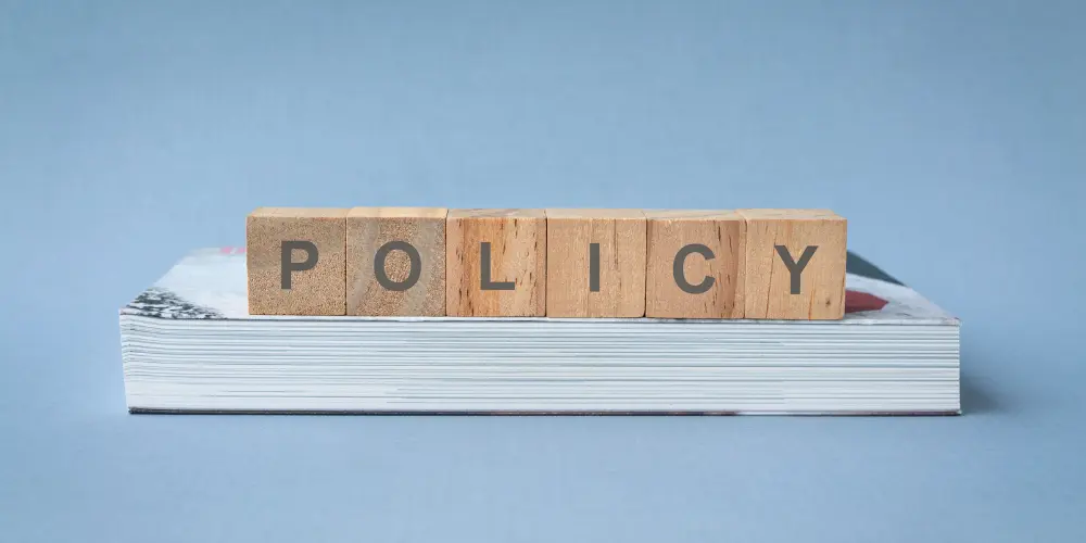 Google Merchant Center Yanlış Beyan Sorunu ve Çözümü - Vegasis Medya 2026