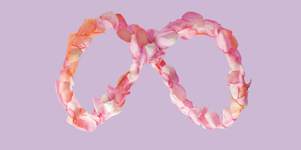 Meta Reklam - Vegasis Medya 2026